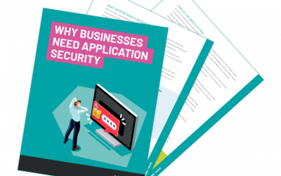 Why Businesses Need Application Security