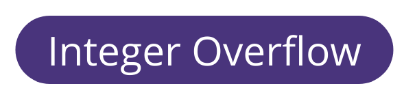 CV-integer-overflow