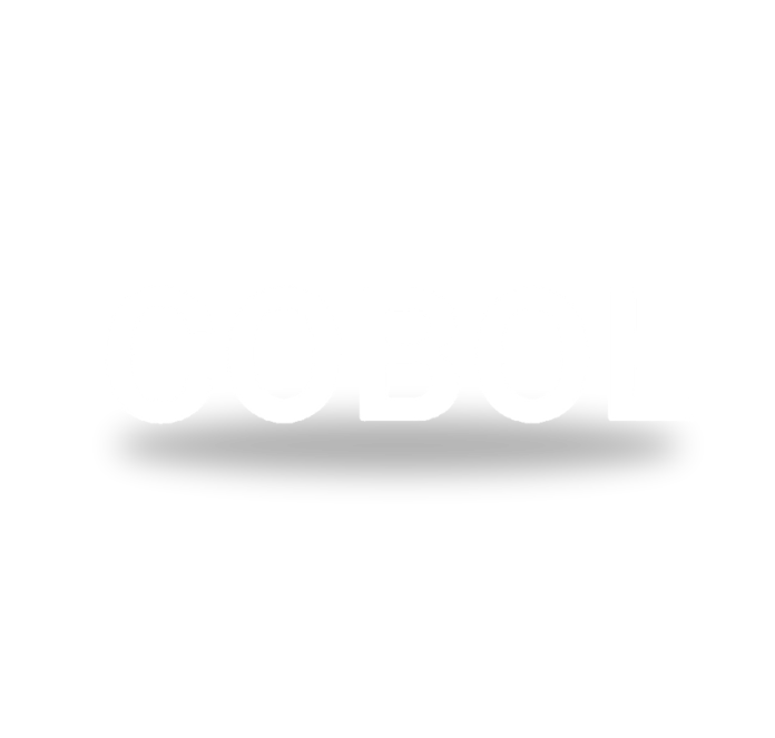 Cobol Language