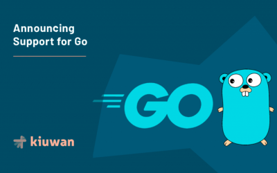 Announcing Support for Go