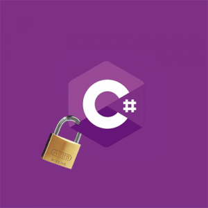 Discovering vulnerabilities in C# graphic