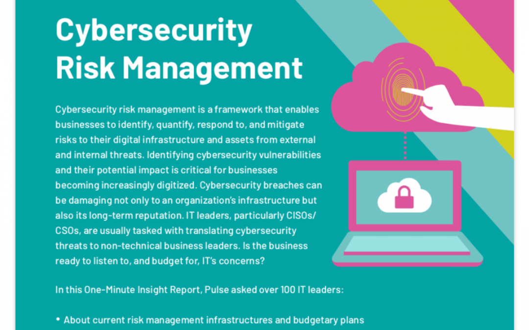 Cybersecurity Risk Management graphic