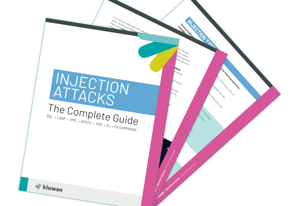 Injection Attacks ebook graphic
